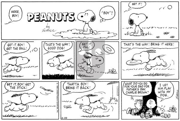 Peanuts on Sunday June 20, 1993 Comic Strip
