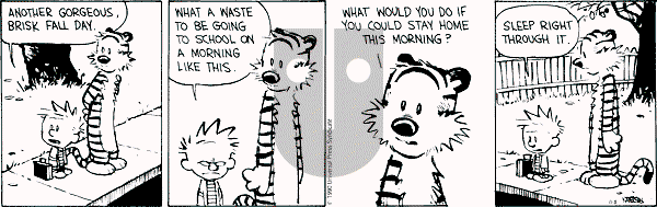 Calvin and Hobbes - Monday November 5, 1990 Comic Strip