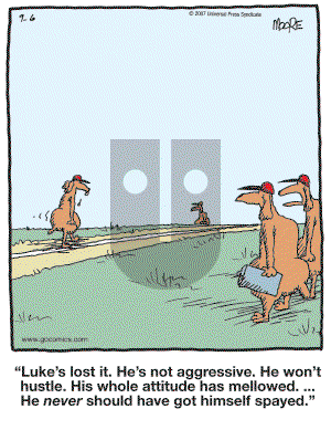 In the Bleachers - Thursday September 6, 2007 Comic Strip
