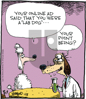 Reality Check on Tuesday January 28, 2014 Comic Strip