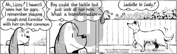 Fred Basset on Tuesday March 25, 2008 Comic Strip