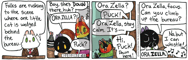 Breaking Cat News - Tuesday February 27, 2024 Comic Strip