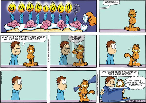Garfield on Sunday June 13, 2010 Comic Strip