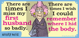 Aunty Acid on Friday January 16, 2015 Comic Strip