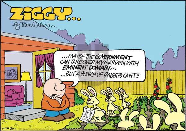 Ziggy on Sunday June 30, 2013 Comic Strip