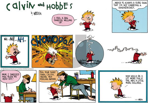 Calvin and Hobbes - Sunday October 21, 2018 Comic Strip
