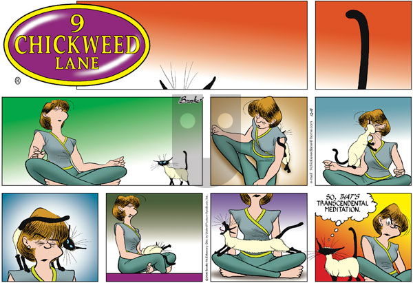 9 Chickweed Lane on Sunday December 10, 2000 Comic Strip