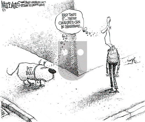 Matt Davies on Friday March 7, 2008 Comic Strip