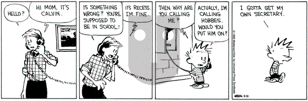 Calvin and Hobbes on Tuesday November 21, 1995 Comic Strip