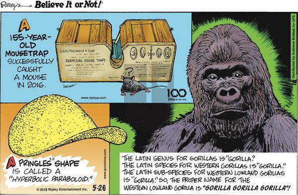 Ripley's Believe It or Not on Sunday May 26, 2019 Comic Strip