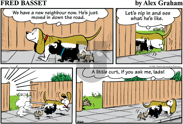 Fred Basset on Sunday December 7, 2008 Comic Strip
