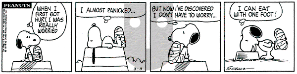 Peanuts on Wednesday March 3, 1976 Comic Strip