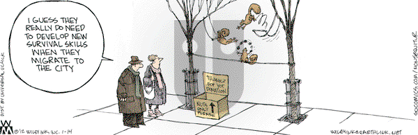 Non Sequitur - Saturday January 14, 2012 Comic Strip