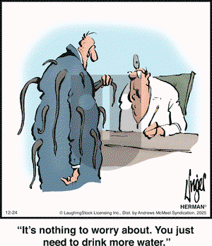 Herman on Wednesday December 24, 2025 Comic Strip