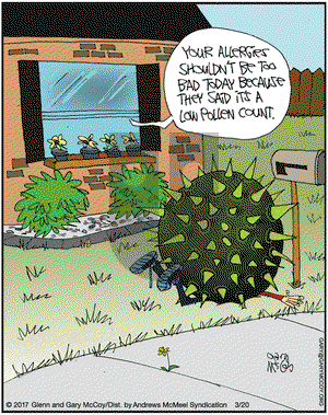 The Flying McCoys on Monday March 20, 2017 Comic Strip