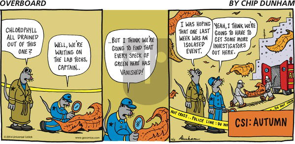 Overboard on Sunday October 12, 2014 Comic Strip