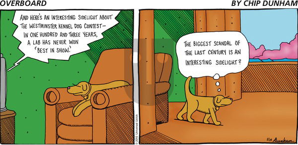 Overboard on Sunday November 14, 2010 Comic Strip