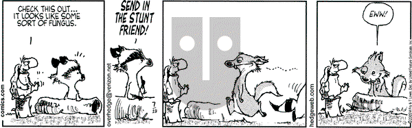 Over the Hedge on Thursday July 28, 2005 Comic Strip