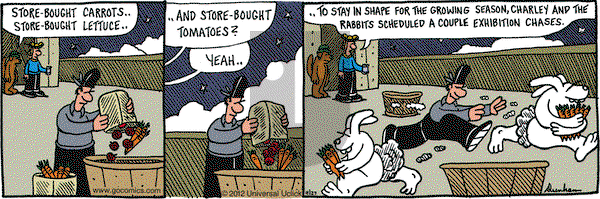 Overboard on Tuesday November 27, 2012 Comic Strip