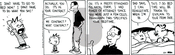 Calvin and Hobbes - Tuesday August 4, 1992 Comic Strip