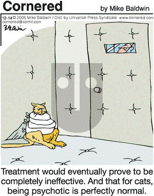 Cornered on Wednesday December 14, 2005 Comic Strip