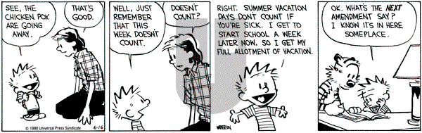 Calvin and Hobbes on Saturday June 16, 1990 Comic Strip