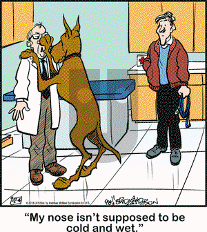 Marmaduke on Tuesday December 4, 2018 Comic Strip