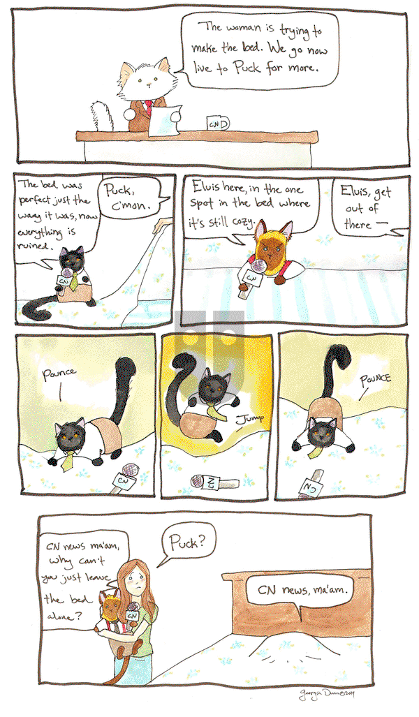 Breaking Cat News on Friday September 9, 2016 Comic Strip