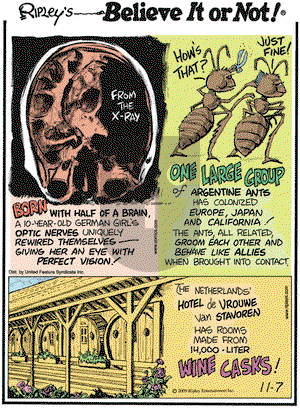 Ripley's Believe It or Not on Saturday November 7, 2009 Comic Strip