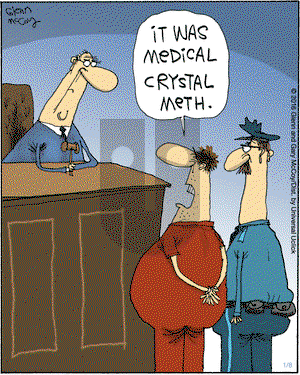 The Flying McCoys on Friday January 8, 2016 Comic Strip