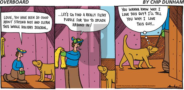 Overboard on Sunday January 7, 2018 Comic Strip