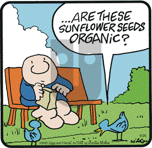 Ziggy on Friday June 26, 2020 Comic Strip
