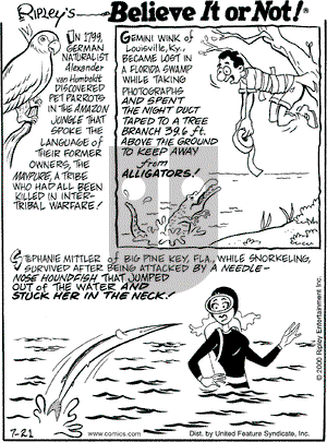 Ripley's Believe It or Not on Friday July 21, 2000 Comic Strip