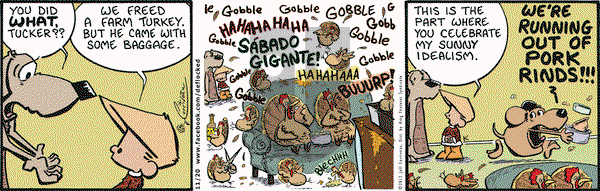 DeFlocked on Tuesday November 20, 2012 Comic Strip