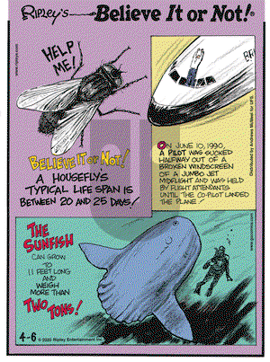 Ripley's Believe It or Not on Monday April 6, 2020 Comic Strip
