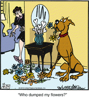 Marmaduke on Tuesday April 27, 2010 Comic Strip