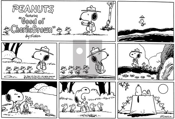 Peanuts on Sunday September 7, 1975 Comic Strip