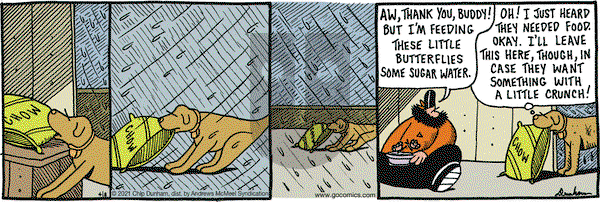 Overboard on Thursday April 8, 2021 Comic Strip