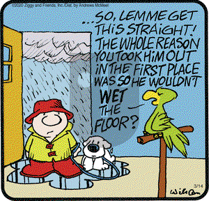 Ziggy on Saturday March 14, 2020 Comic Strip