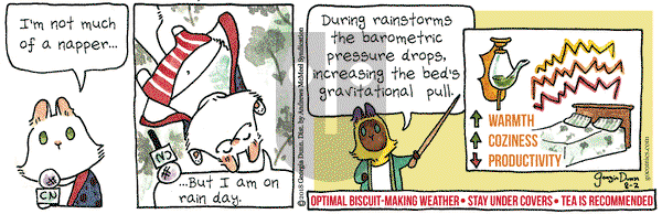 Breaking Cat News on Thursday August 2, 2018 Comic Strip