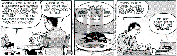 Get Fuzzy on Monday July 10, 2000 Comic Strip