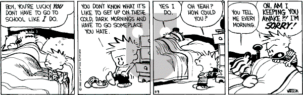 Calvin and Hobbes - Wednesday November 9, 1988 Comic Strip