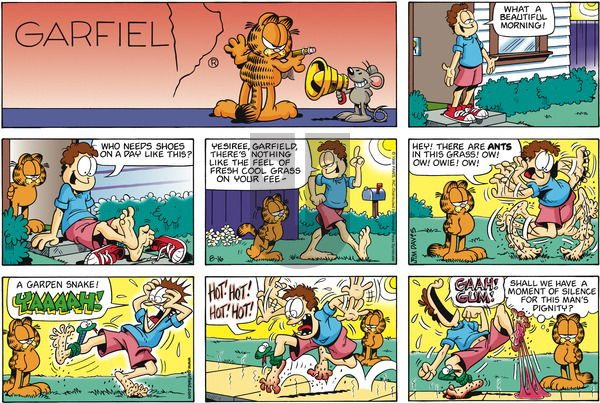 Garfield on Sunday August 16, 1998 Comic Strip