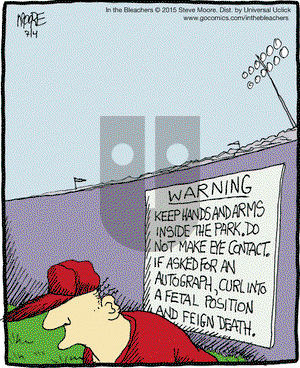 In the Bleachers on Saturday July 4, 2015 Comic Strip