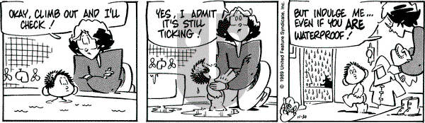 Rose is Rose on Thursday November 30, 1989 Comic Strip