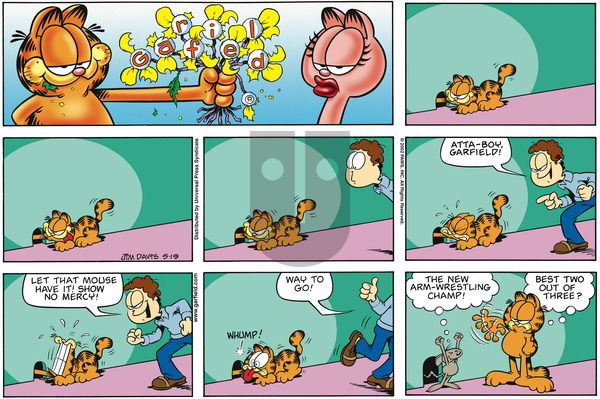 Garfield on Sunday May 19, 2002 Comic Strip