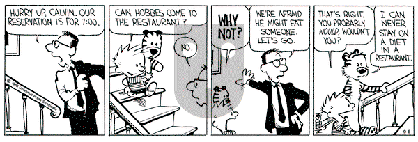 Calvin and Hobbes on Friday September 6, 1991 Comic Strip