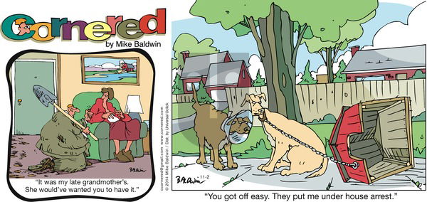 Cornered on Sunday November 2, 2014 Comic Strip