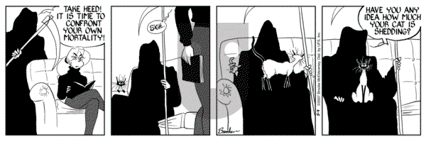 9 Chickweed Lane on Friday May 4, 2007 Comic Strip
