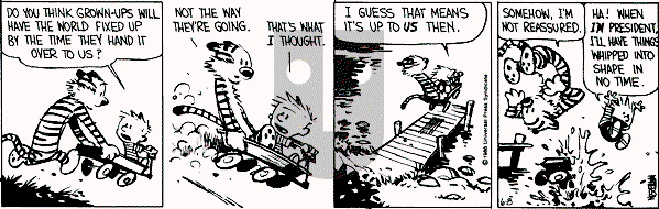 Calvin and Hobbes - Wednesday June 8, 1988 Comic Strip